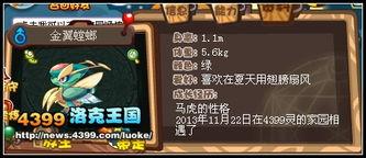 洛克王国爆料最新11月,神秘宠物降临，全新冒险等你探索！  第2张