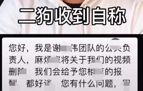 嘎子爆料网红视频,视频爆料背后的惊人真相 第3张 嘎子爆料网红视频,视频爆料背后的惊人真相 第3张