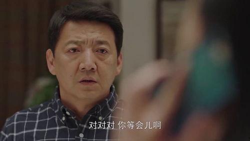 小欢喜35集在线观看,家庭纷争升级，情感纠葛再掀波澜